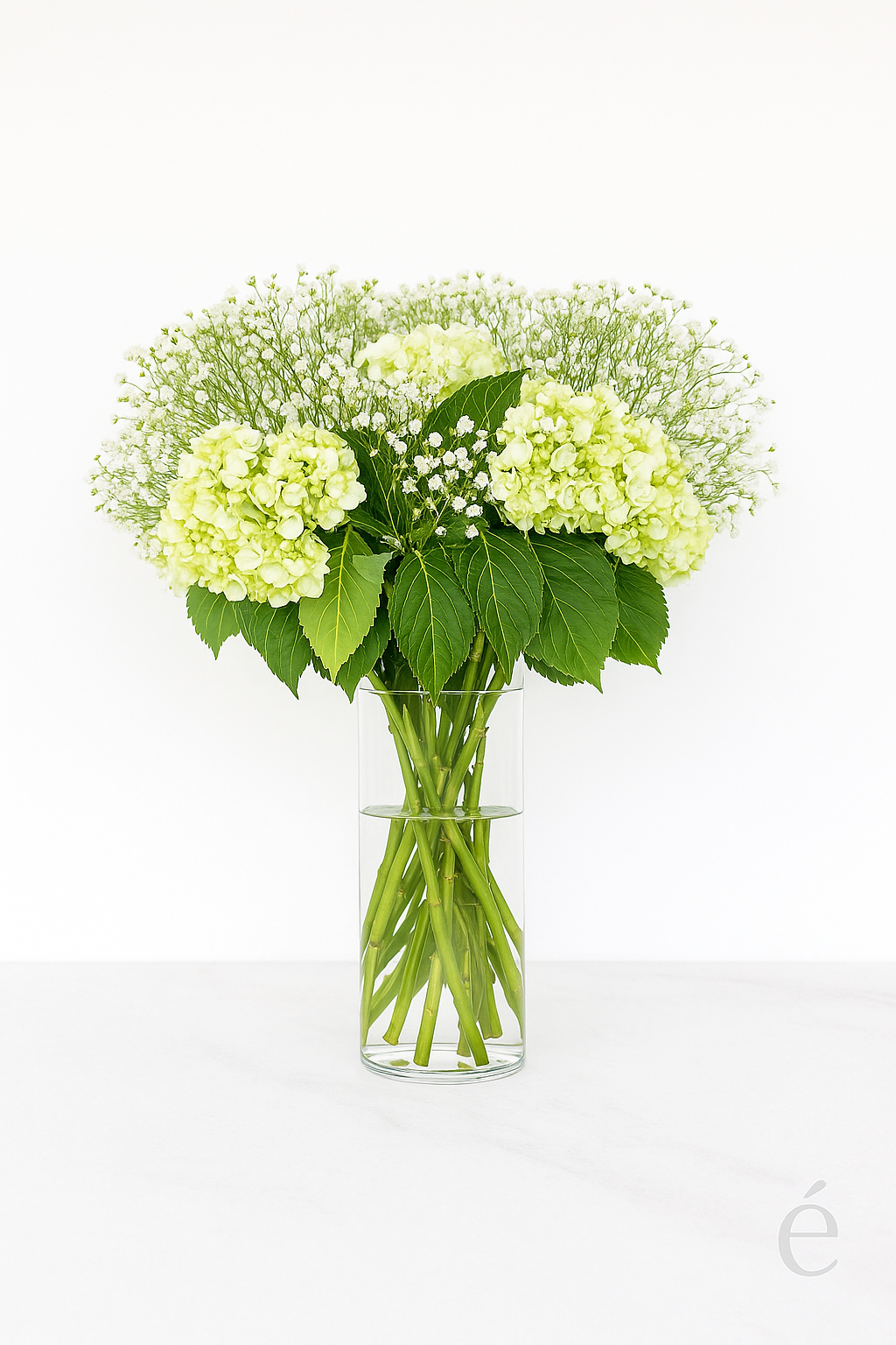 THE FLORAISON PRIVATE COLLECTION
An Annual Floral Commission