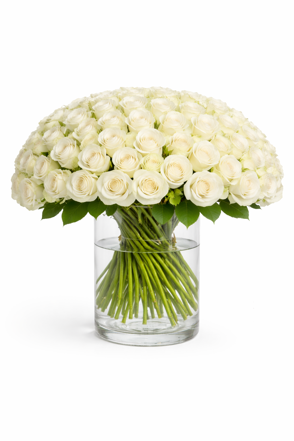 Rose Collection