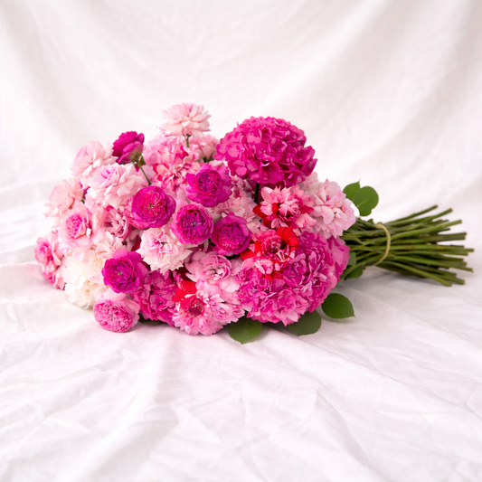 February Blooms – Custom Seasonal Arrangement